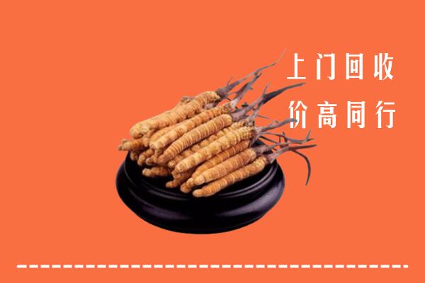 高价求购：松原市前郭尔罗斯回收散虫草