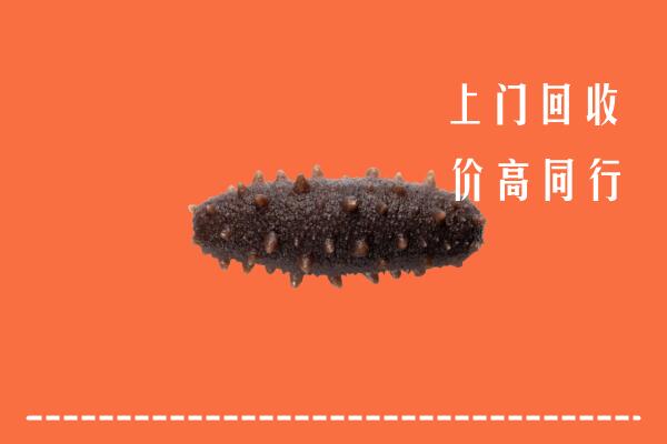高价求购：松原市前郭尔罗斯回收海参